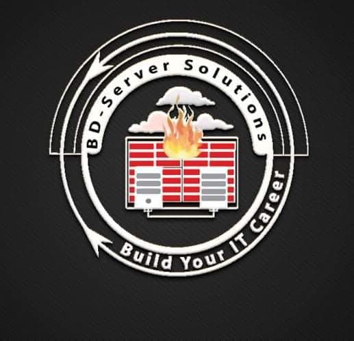 BD Server Solutions logo